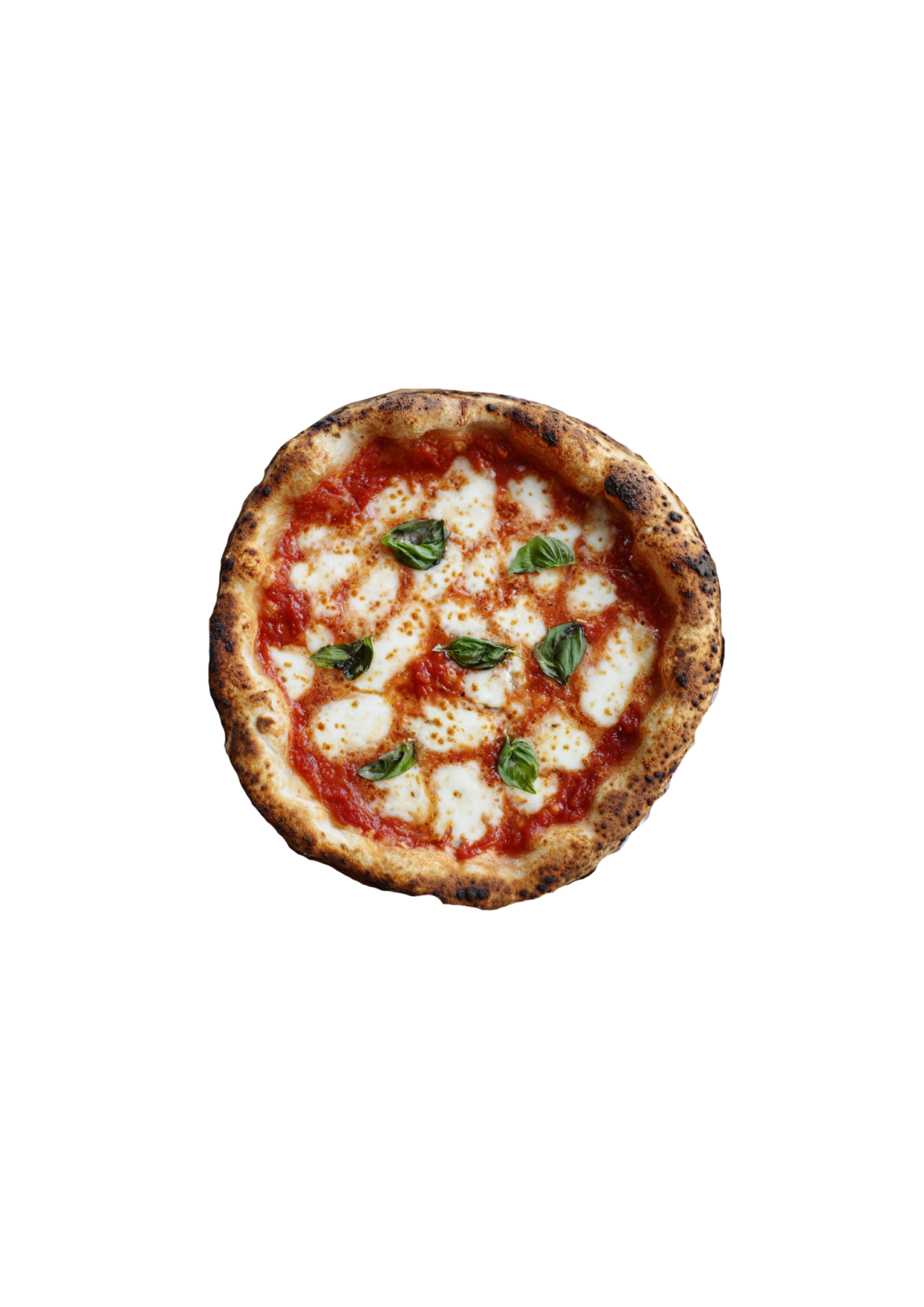 design ohne titel (7)